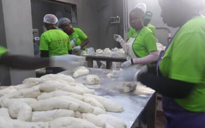 VOCATIONAL TRAINING AND JOB CREATION IN AFRICA