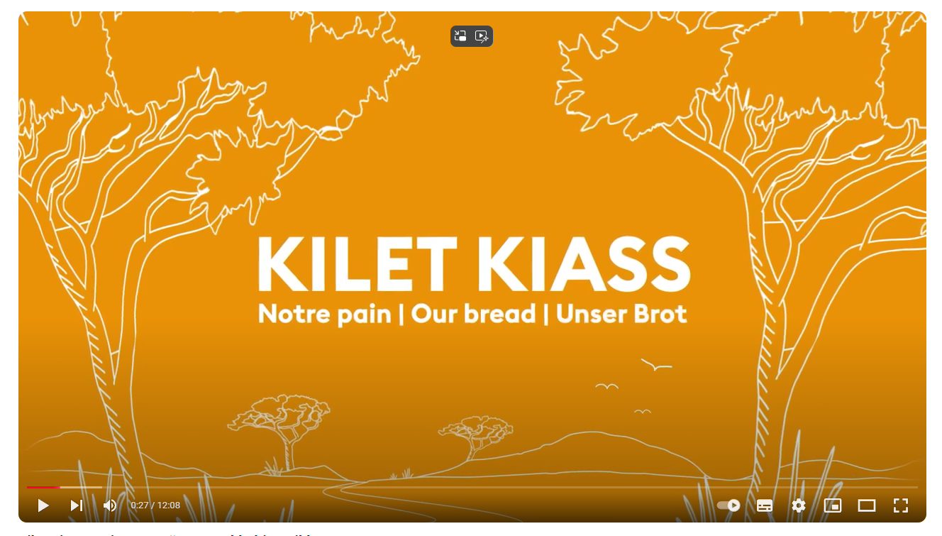 Sustainable vocational Training in Africa (short-Docufilm)